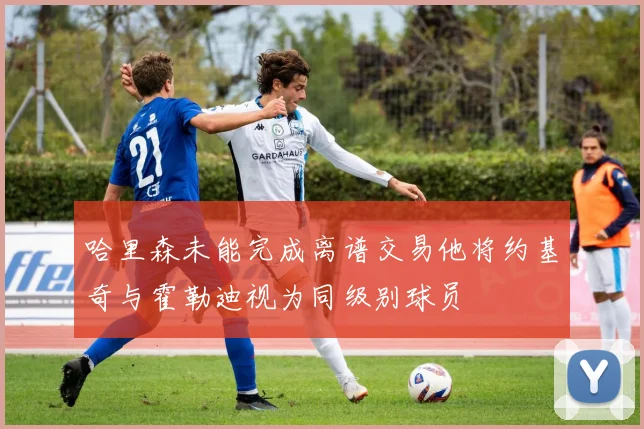 哈里森未能完成离谱交易他将约基奇与霍勒迪视为同级别球员