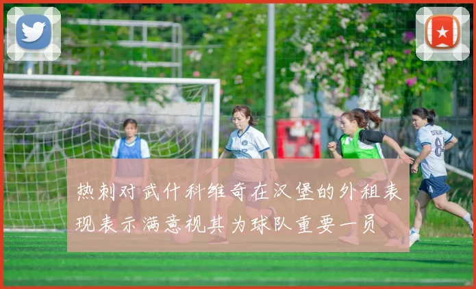 热刺对武什科维奇在汉堡的外租表现表示满意视其为球队重要一员